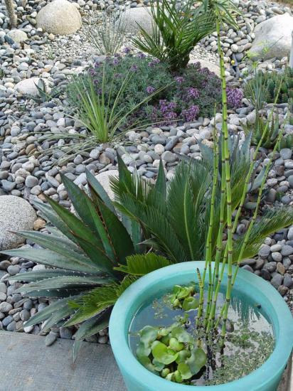 Mini bassin pour la faune du jardin