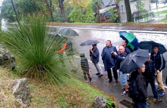 Sortie des fous de palmiers à Pau