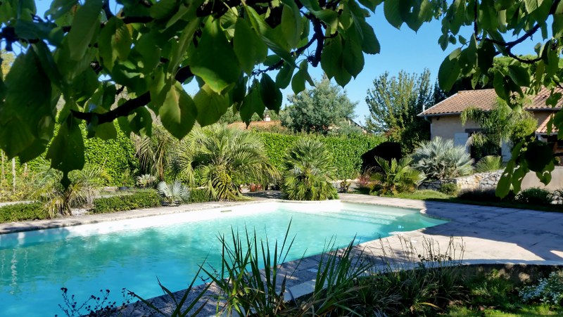 Jardin aloha abords piscine